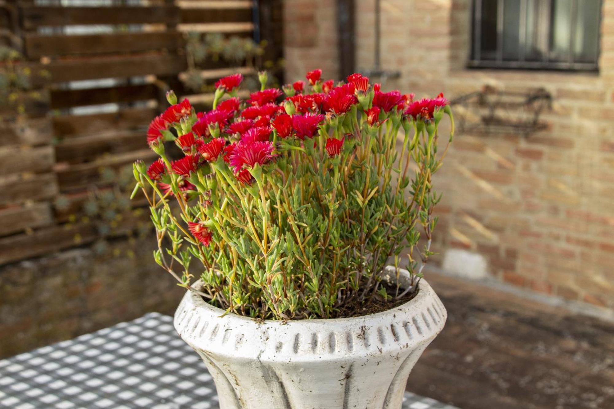 Appartamenti Stare Bene A Siena Ngoại thất bức ảnh